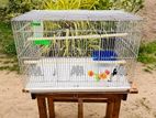 Birds cage