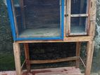 Birds Cage