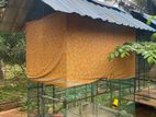 Birds Cage
