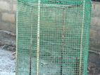 Birds Cage