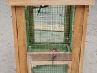 Birds Cage
