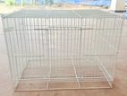 Birds Cage