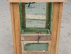 Birds Cage