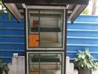 Birds Cage