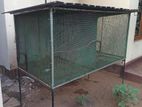 Birds Cage