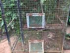 Birds Cage