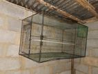 Birds Cage