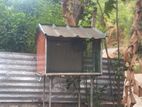 birds cage