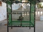 Birds Cage