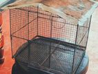 Birds Cage