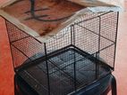 Birds Cage