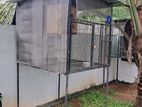 Birds Cage