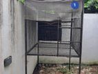 Birds Cage