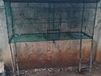 Birds Cage