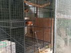 Birds Cages