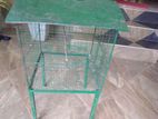 Birds Cage