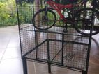 Birds Cage
