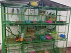 Bird Cage with Birds