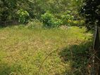 Biyagama Bandarawatta Land for Sale