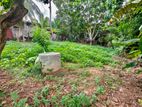 බියගම කොට්ටුන්න පාරෙන් ස්වාභාවික ආපදාවලින් තොර ඉඩමක් විකිණීමට !