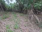 (BL156) Bare Land for Sale in Kandana