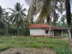 (BL194) 20 Acre Coconut Land for Sale in Divulapitiya