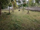 (BL77) 10 Perch Land for Sale in Ja Ela