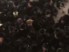 Black Naked Neck Chick