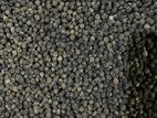 Black Pepper