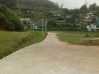 Black Pool Land for Sale Nuwara Eliya