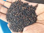 Black sesame கறுப்பு எள்ளு