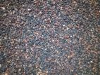 Black Sesame கருப்பு எள்