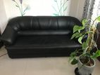 Black Sofa