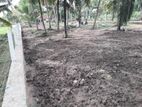 බලල්ල ඉඩමක්