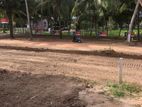 බලල්ල නේවාසික බිම් කොටස් විකිණීමට