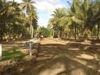 බලල්ල නේවාසික බිම් කොටස් විකිණීමට