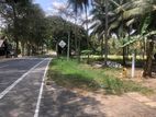බලල්ල ව්‍යාපාරික සහ නේවාසික බිම් කොටස්