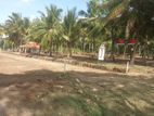 බලල්ල ව්‍යාපාරික සහ නේවාසික බිම් කොටස්