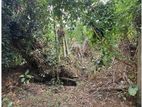 බලන්ගොඩ ඇල්ලේපොල පර්චස් 50 ක ඉඩමක් විකිණීමට