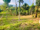 බලංගොඩ නගරයට 4km දුරින්, නිස්කලංක පරිසරයක පිහිටි සුපිරි බිම් කොටස්