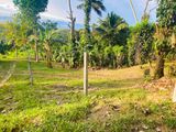 බලංගොඩ නගරයට 4km දුරින්, නිස්කලංක පරිසරයක පිහිටි සුපිරි බිම් කොටස්