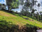 Blockout Residential Valuable Land for Sale in Kandy- Manikhinna Walala
