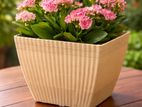 Bloom Square Ribbed Planter Pot