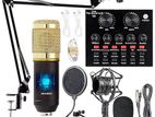 BM-800 Mic Kit with Live Sound Card