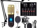 BM-800 Mic Kit with Live Sound Card