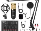 Bm 800 Professional Condenser Microphone