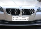 BMW F10 5 Series Diamond Grill