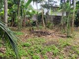 බණ්ඩාරගම අරුග්ගොඩ 14.5 ඉඩමක් විකිනීමට