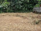 බණ්ඩාරගම ගැලනිගම ඉඩමක් විකිණීමට