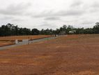 බණ්ඩාරගම කොළඹ 162 ප්රධාන බස් මාර්ගයට මීටර් 500 බිම් කොටස්